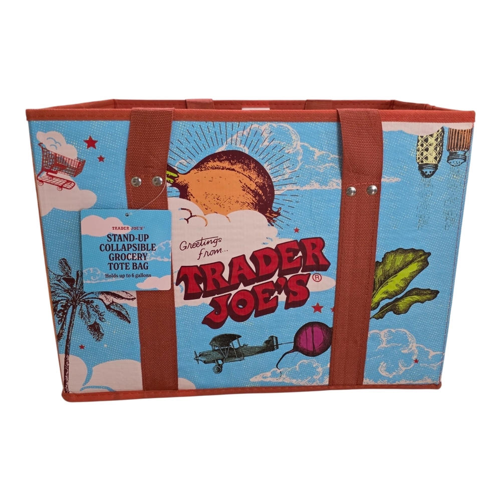 Trader Joe's Collapsible Grocery Tote Bag